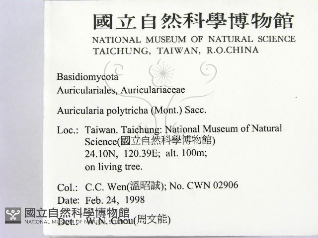 毛木耳藏品圖，第2張