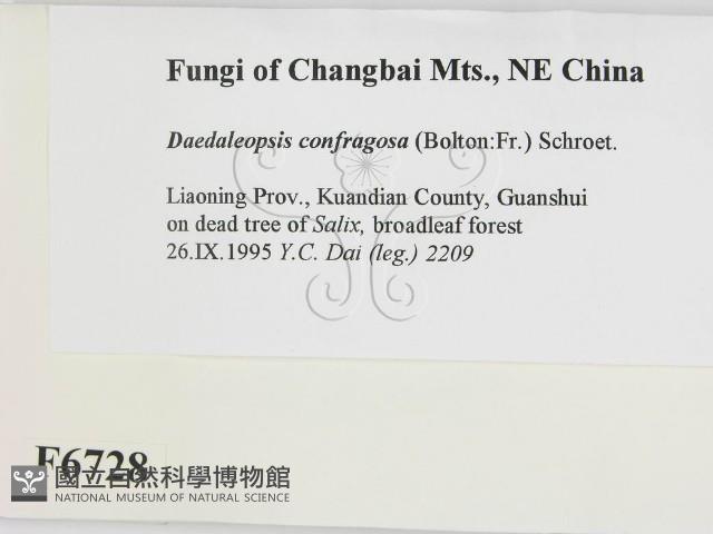 登錄號:F0006728藏品圖，第2張