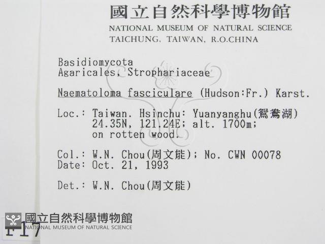 登錄號:F0001728藏品圖，第2張
