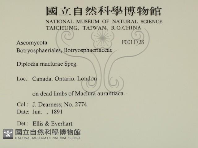 登錄號:F0011728藏品圖，第2張