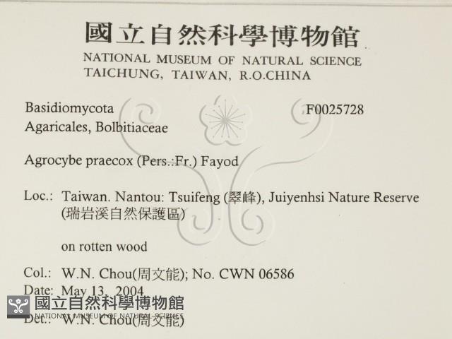 登錄號:F0025728藏品圖，第2張