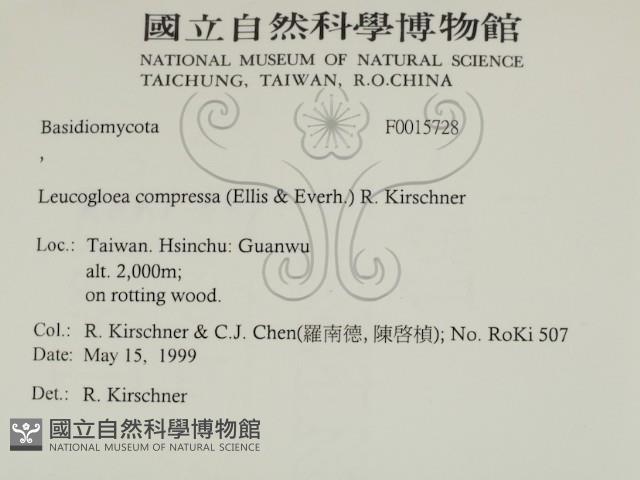 登錄號:F0015728藏品圖，第2張