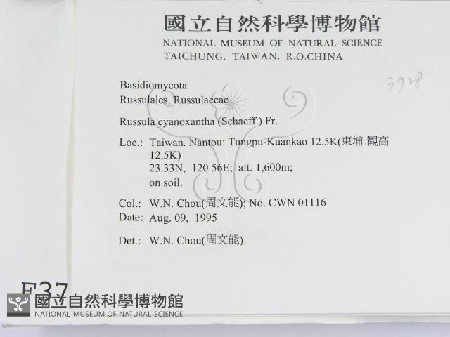 登錄號:F0003728藏品圖，第2張