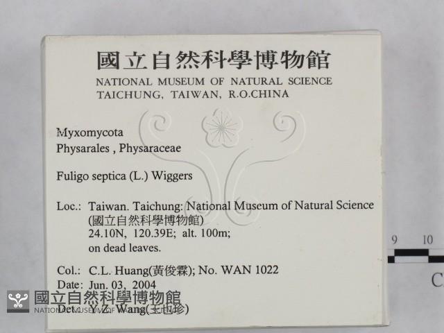 登錄號:F0016528藏品圖，第2張