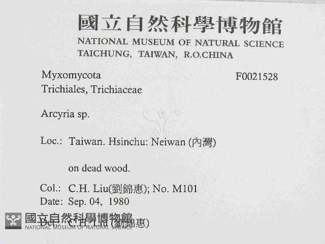 登錄號:F0021528藏品圖，第2張