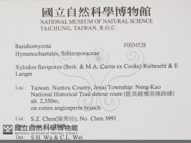 登錄號:F0034528藏品圖，第2張