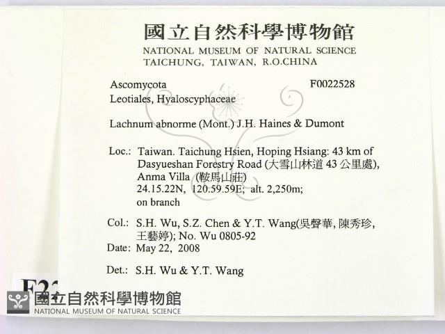 登錄號:F0022528藏品圖，第2張