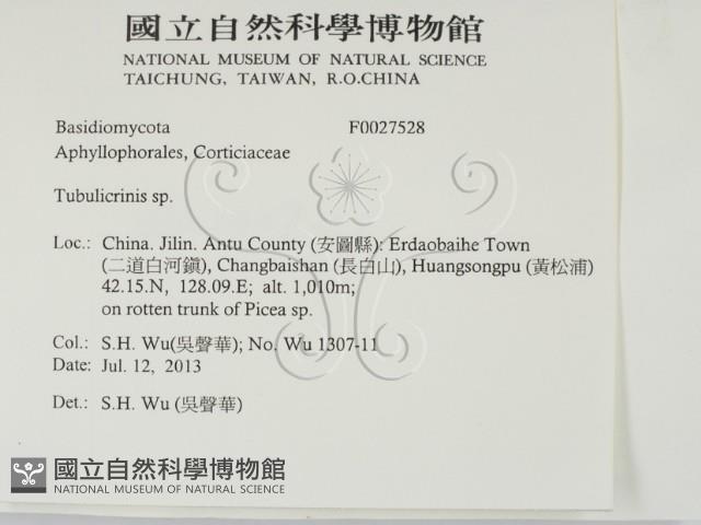 登錄號:F0027528藏品圖，第2張