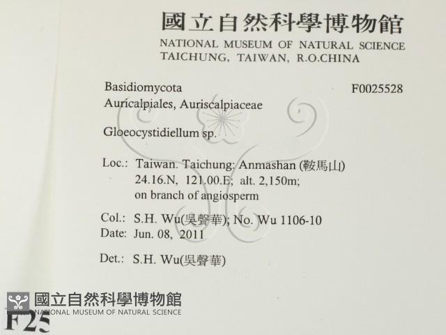 登錄號:F0025528藏品圖，第2張