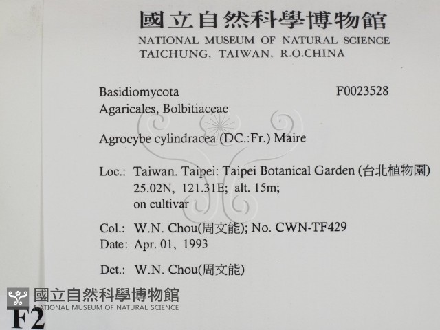 登錄號:F0023528藏品圖，第2張
