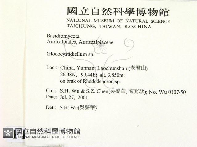 登錄號:F0013528藏品圖，第2張