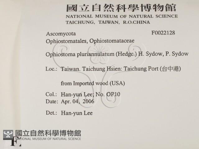 登錄號:F0022128藏品圖，第2張