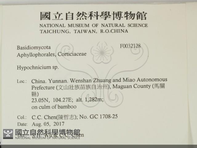 登錄號:F0032128藏品圖，第2張