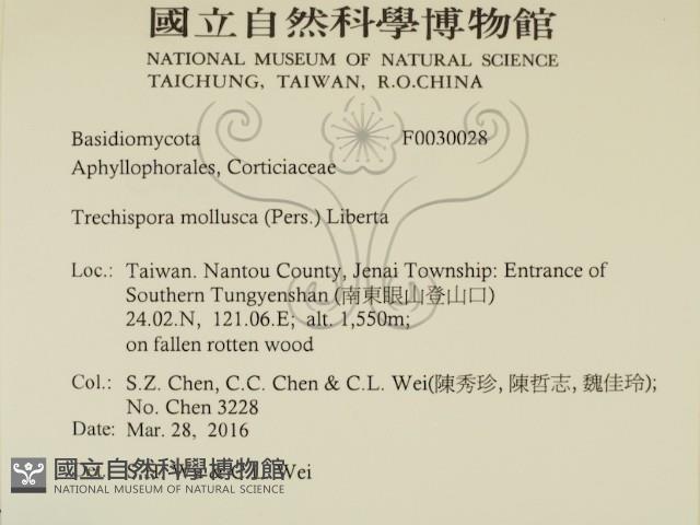 登錄號:F0030028藏品圖，第2張