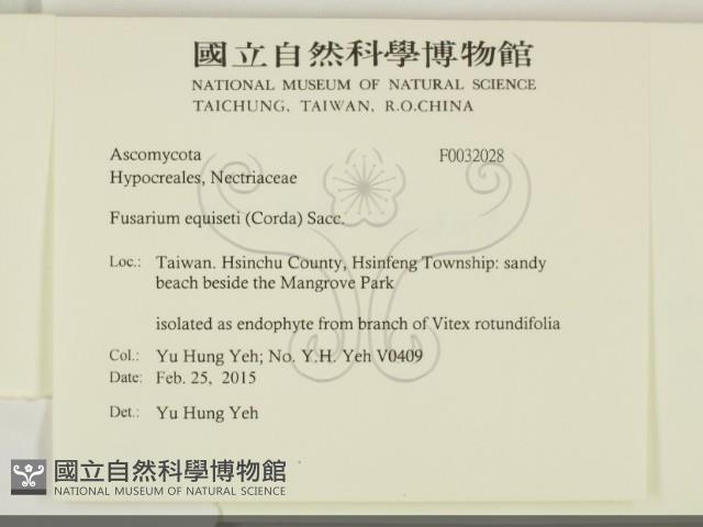 登錄號:F0032028藏品圖，第2張