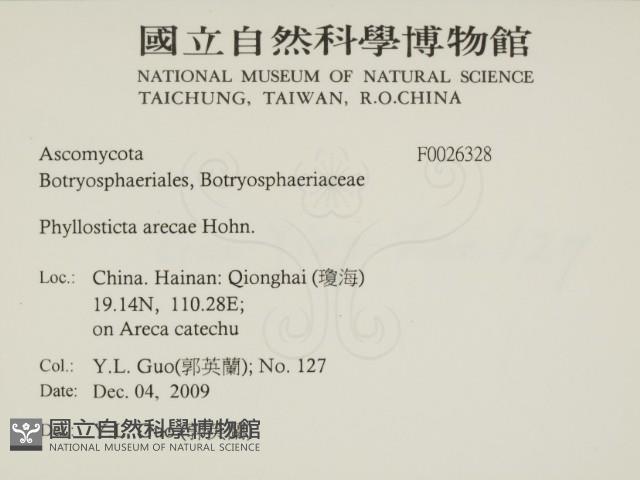 登錄號:F0026328藏品圖，第2張