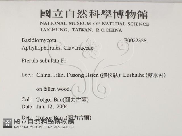登錄號:F0022328藏品圖，第2張