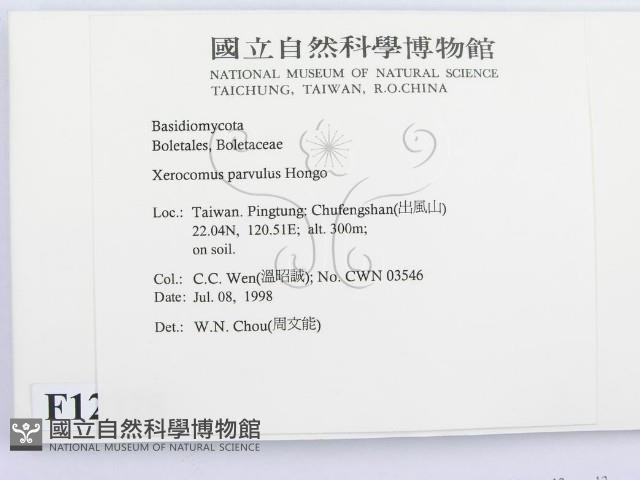 登錄號:F0012328藏品圖，第2張