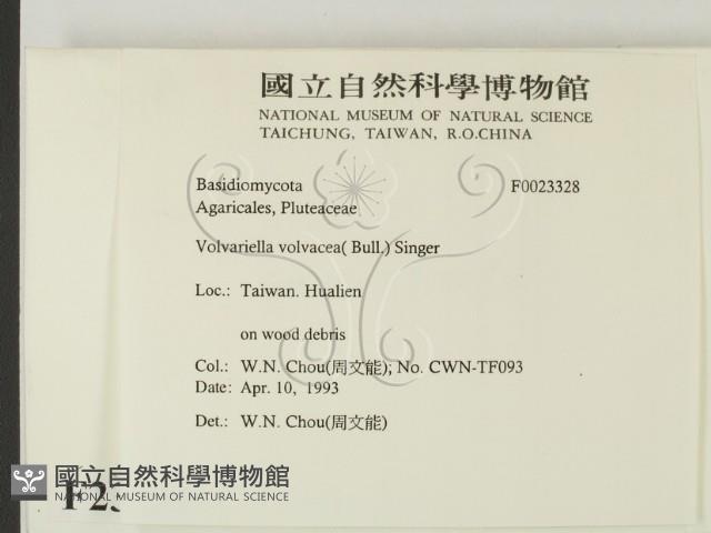 登錄號:F0023328藏品圖，第2張