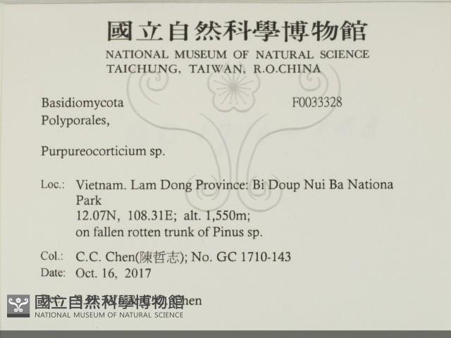登錄號:F0033328藏品圖，第2張