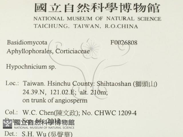 登錄號:F0026808藏品圖，第2張