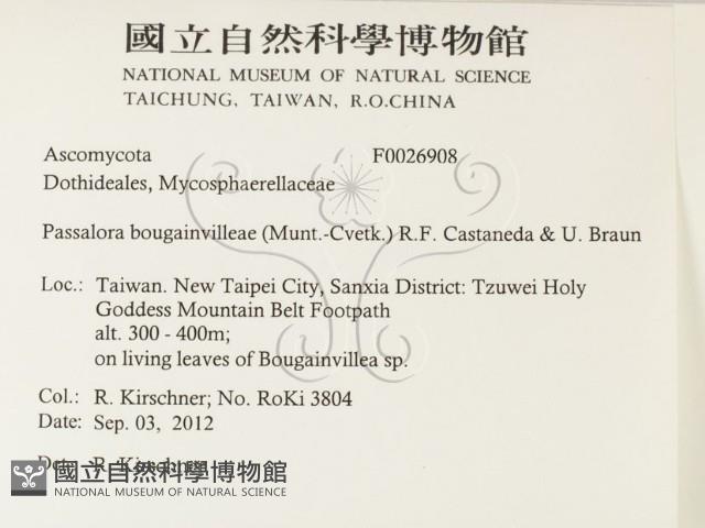 登錄號:F0026908藏品圖，第2張