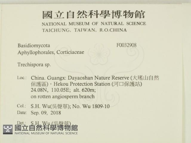 登錄號:F0032908藏品圖，第2張