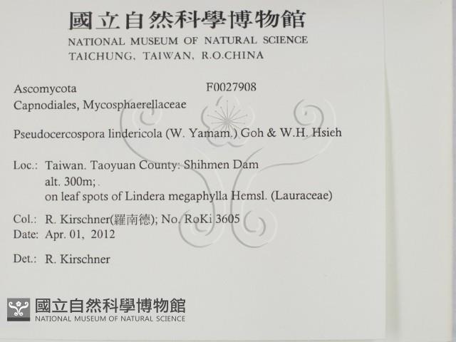 登錄號:F0027908藏品圖，第2張