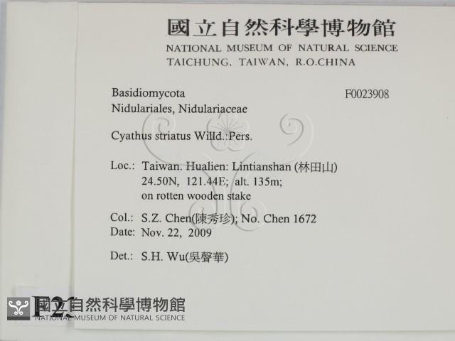 登錄號:F0023908藏品圖，第2張