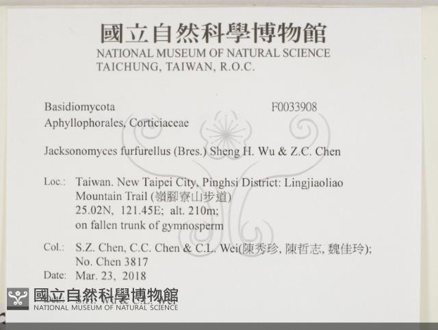登錄號:F0033908藏品圖，第2張