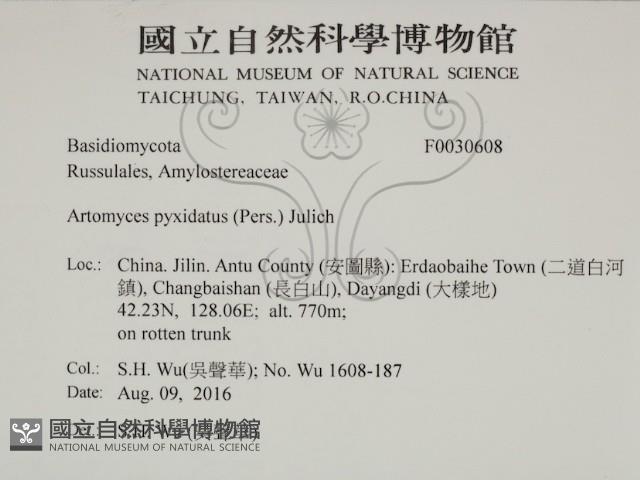 登錄號:F0030608藏品圖，第2張