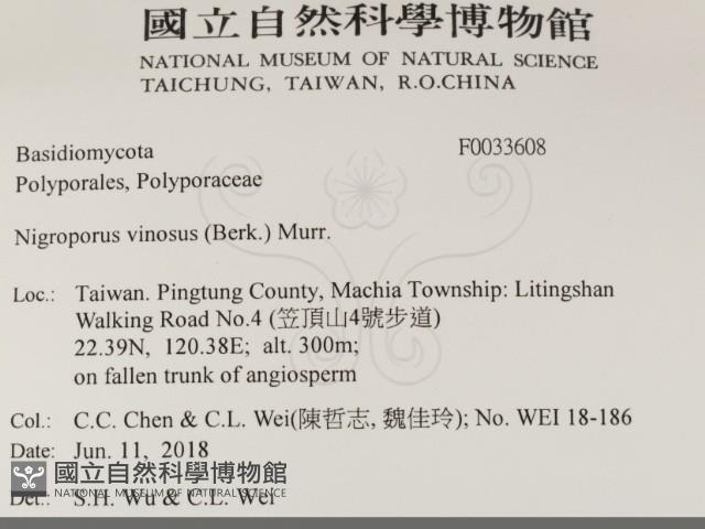 登錄號:F0033608藏品圖，第2張