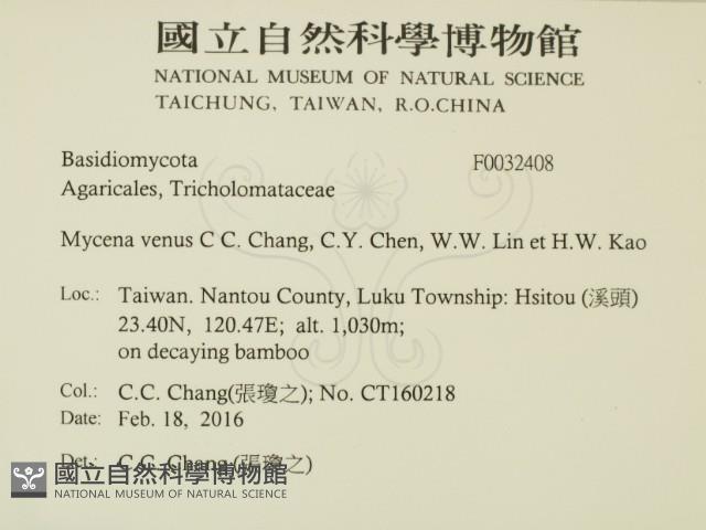 登錄號:F0032408藏品圖，第2張