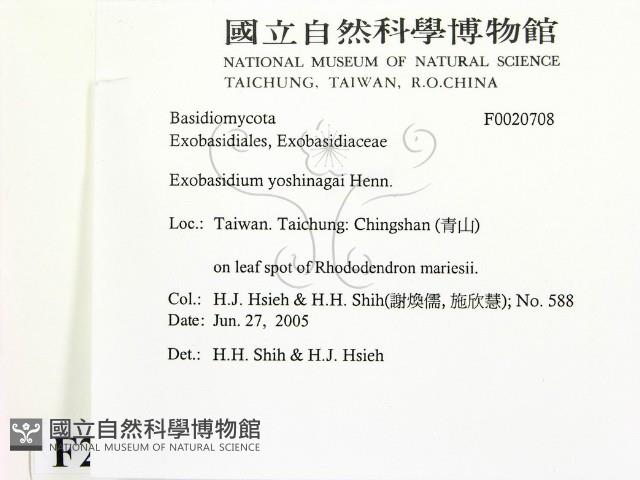 登錄號:F0020708藏品圖，第2張