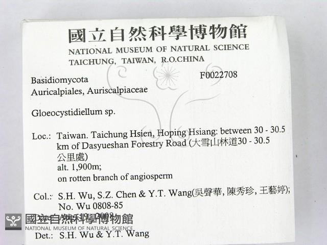 登錄號:F0022708藏品圖，第2張