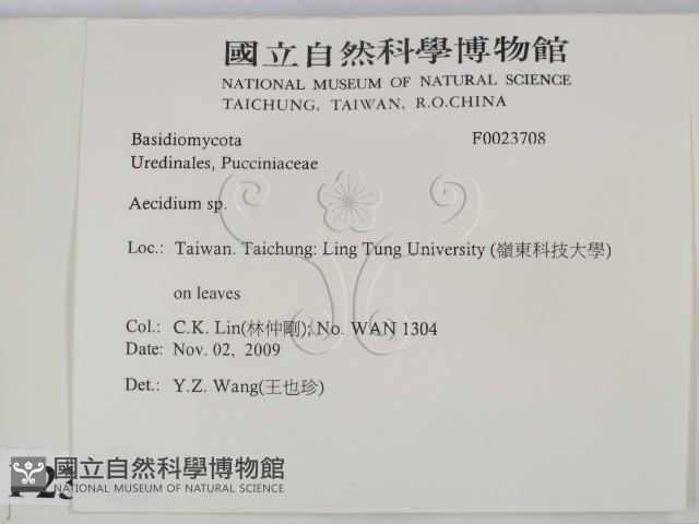 登錄號:F0023708藏品圖，第2張