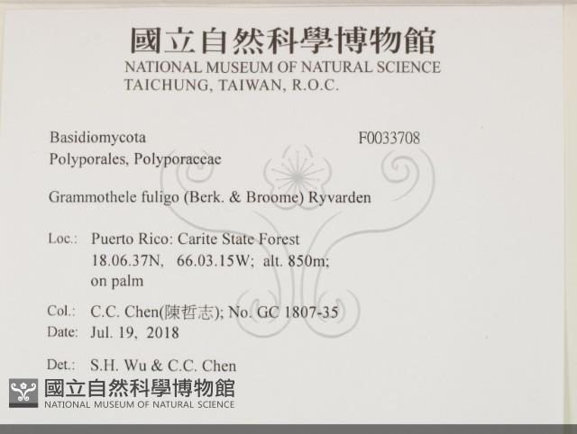 登錄號:F0033708藏品圖，第2張