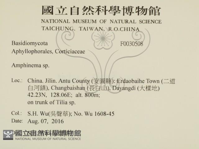 登錄號:F0030508藏品圖，第2張