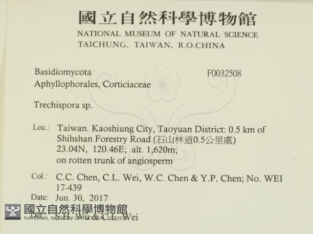 粗糙孢菌屬藏品圖，第2張