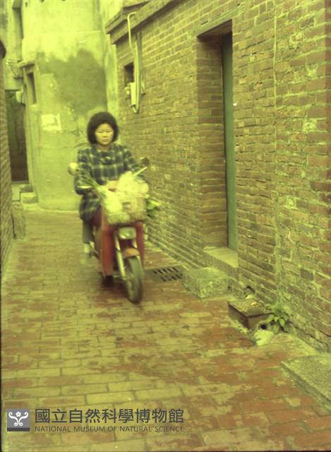 1950至2006年臺灣常民生活藏品圖，第1張