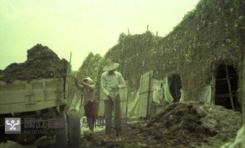 1950至2006年臺灣常民生活藏品圖，第1張