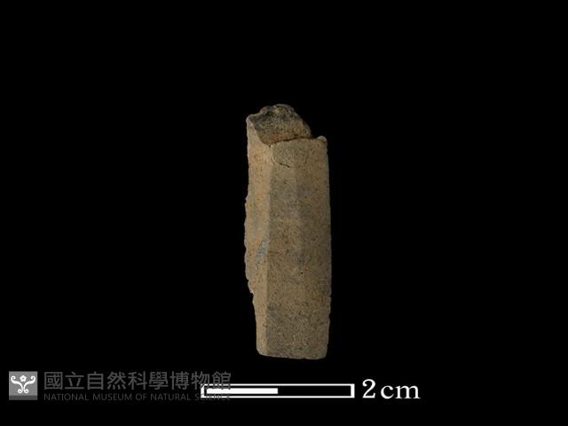 矛鏃形器藏品圖，第1張