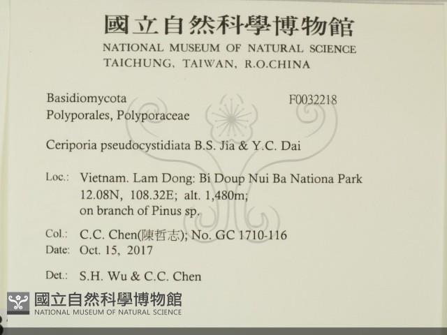 登錄號:F0032218藏品圖，第2張