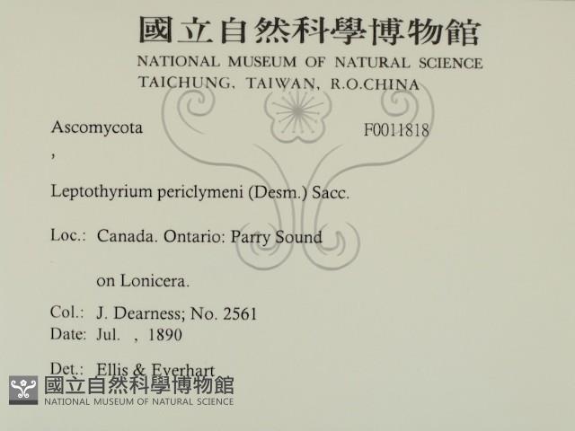 登錄號:F0011818藏品圖，第2張