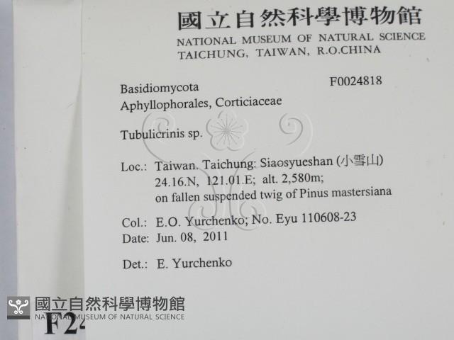 登錄號:F0024818藏品圖，第2張