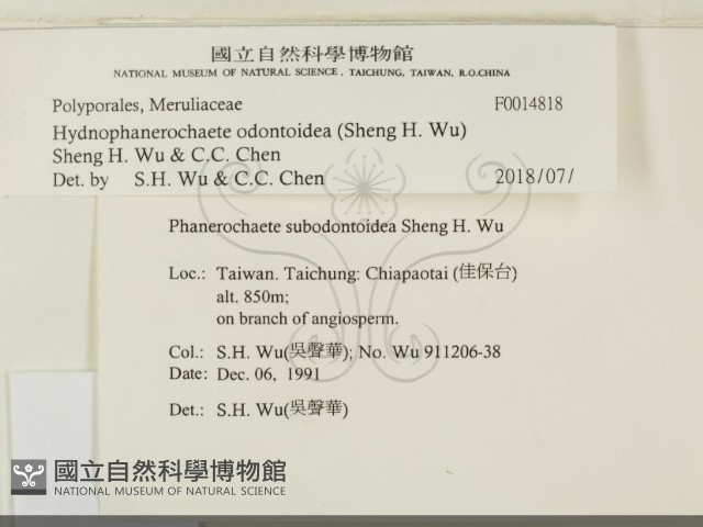 登錄號:F0014818藏品圖，第2張