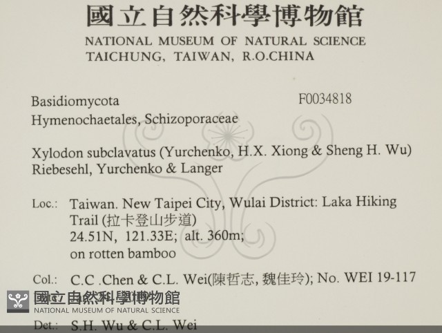 登錄號:F0034818藏品圖，第2張