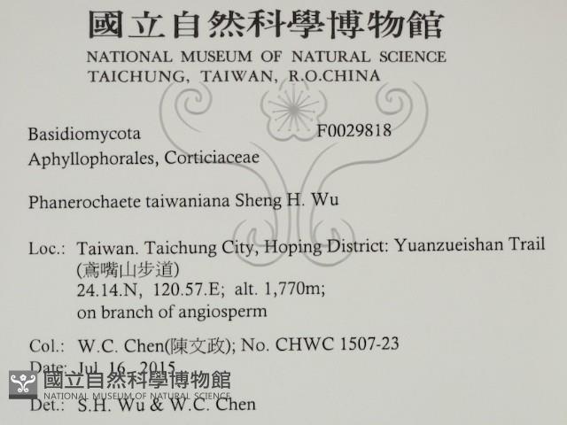 登錄號:F0029818藏品圖，第2張