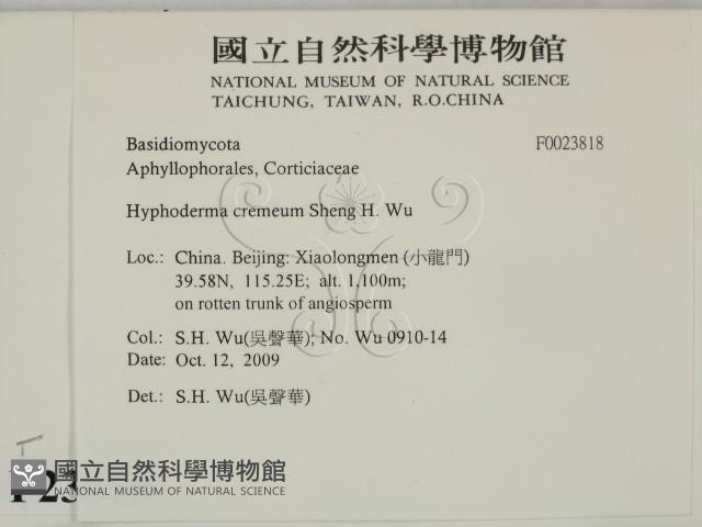 登錄號:F0023818藏品圖，第2張