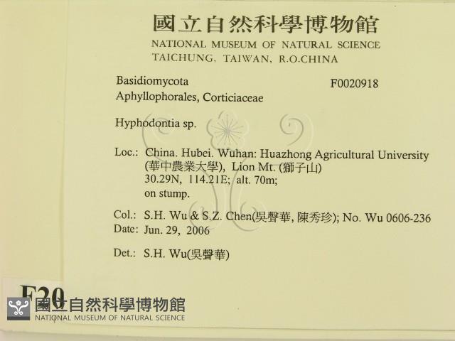 登錄號:F0020918藏品圖，第2張